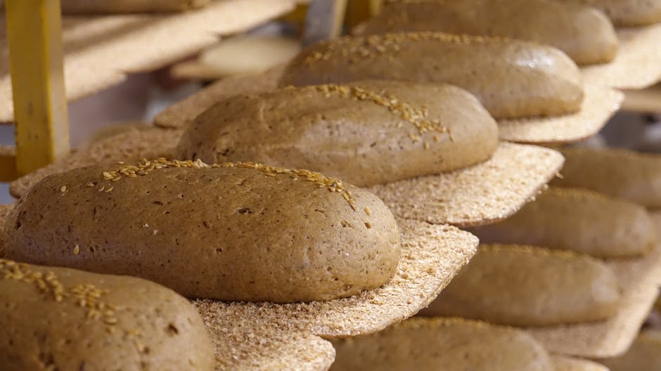Close-up of freshly baked whole grain bread loaves cooling on racks in a bakery.