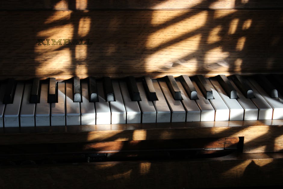 Artistic photo of piano keys in sunlight with shadows, creating a dramatic effect.