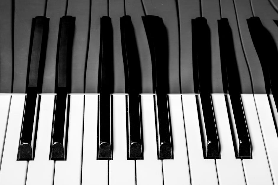 Artistic black and white close-up of piano keys, highlighting musical elegance and design.