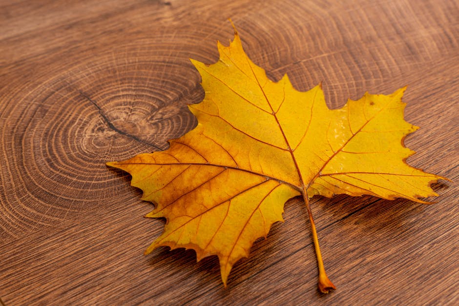 Close-up of a bright yellow maple leaf on rustic wood, symbolizing autumn.